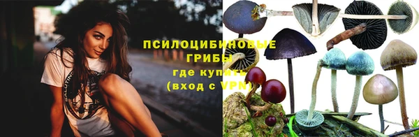 ECSTASY Елизово