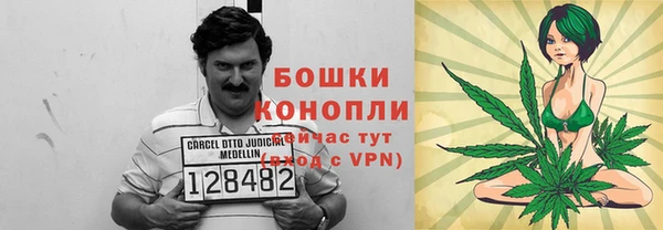 кокс Ельня