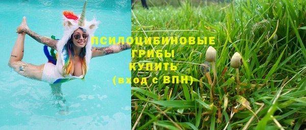 кокс Ельня