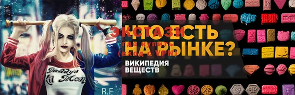 ECSTASY Елизово