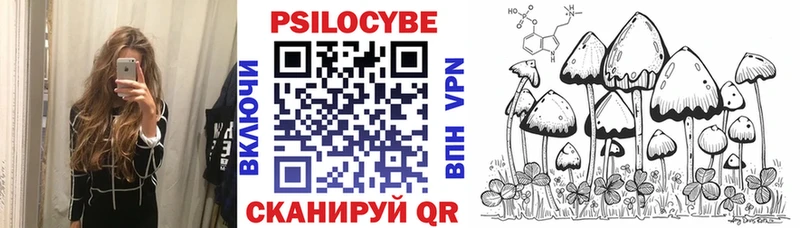 Галлюциногенные грибы Psilocybe  дарк нет какой сайт  Богучар  как найти закладки 