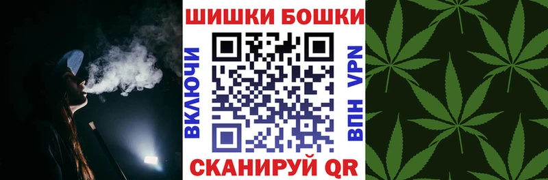 наркотики  Богучар  Конопля сатива 